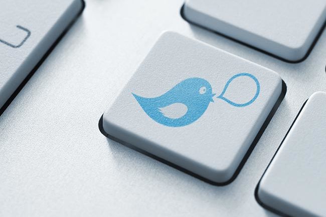 Twitter's Bird Logo Gets a Makeover