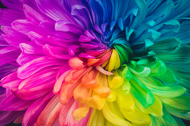 Using Color Psychology in Social Media Marketing