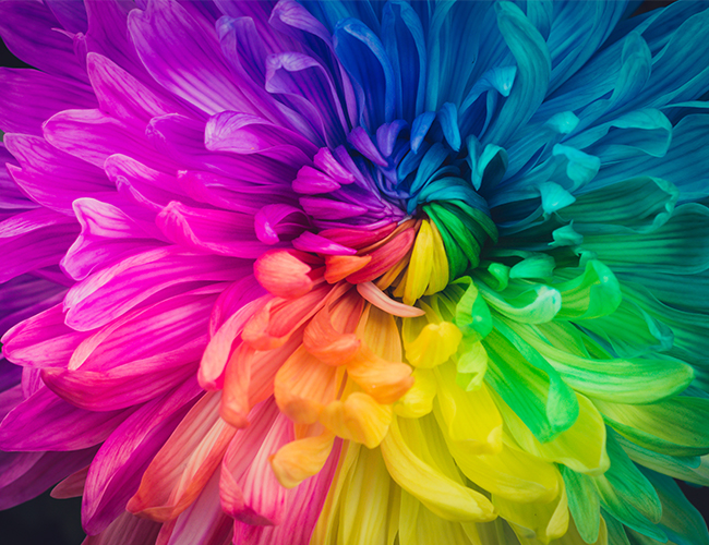 Using Color Psychology in Social Media Marketing