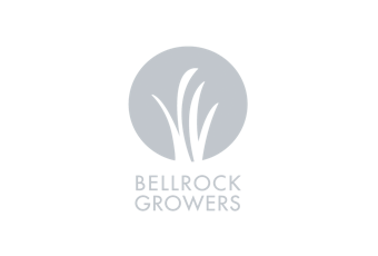 Bell Rock Growers