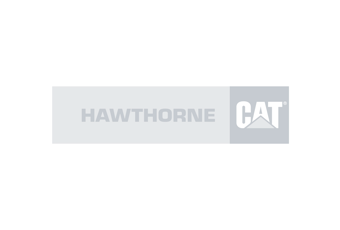 Hawthorne Cat