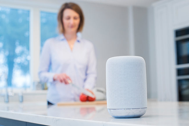 Smart Speaker Voice Search