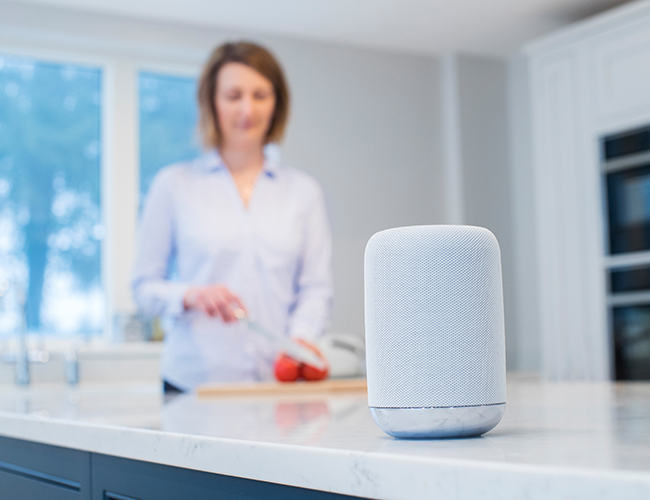 Smart Speaker Voice Search